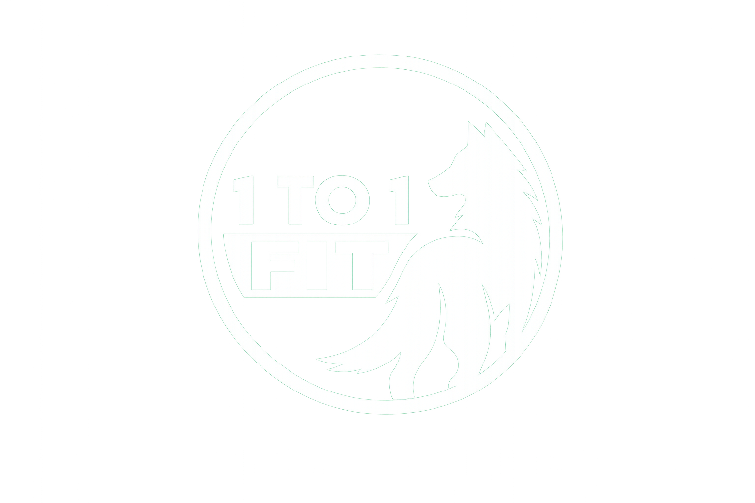 1TO1 FIT